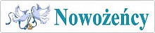 rejestracja gotowa T20 - 1 szt.
