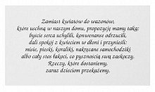 wkładki do zaproszeń W8 - 25 szt.
