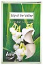 świeczki tealight zapachowe grand 6 szt. - LILY OF THE VALLEY